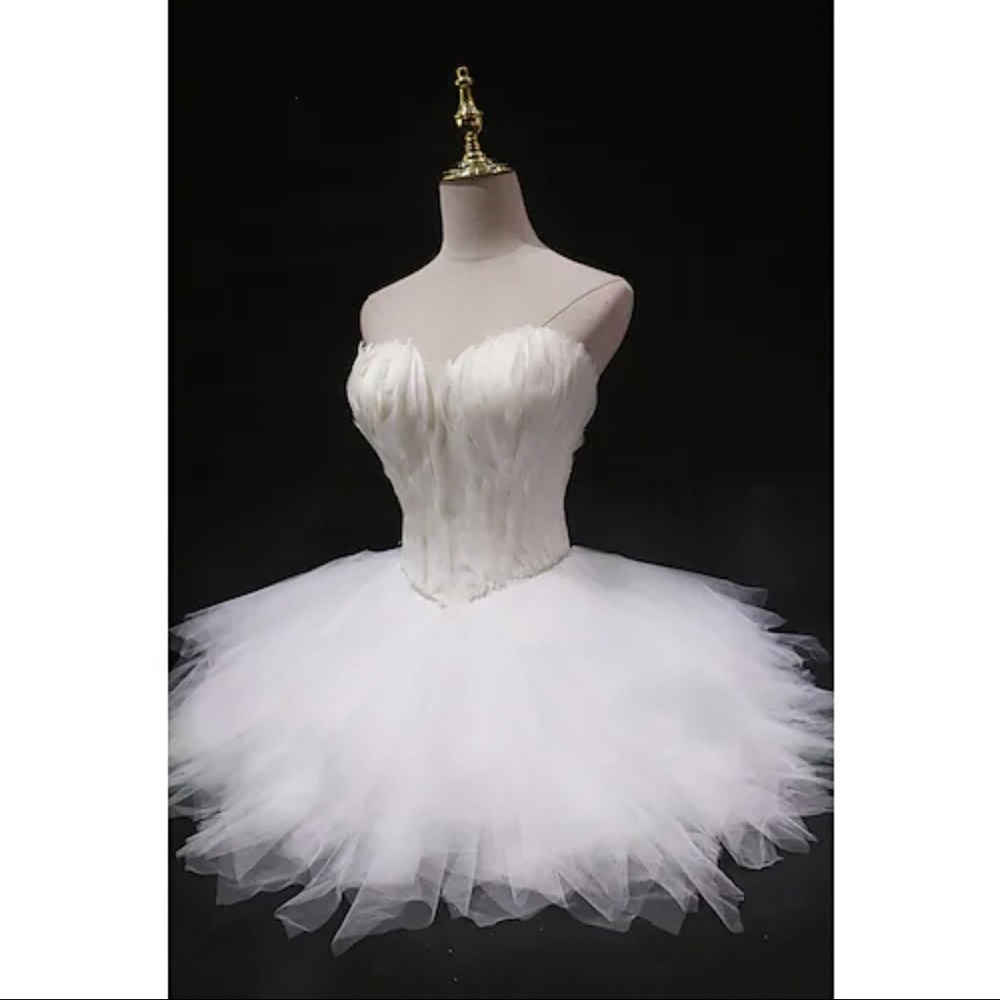 White swan ballerina Halloween costume with feather bodice and tulle skirt.